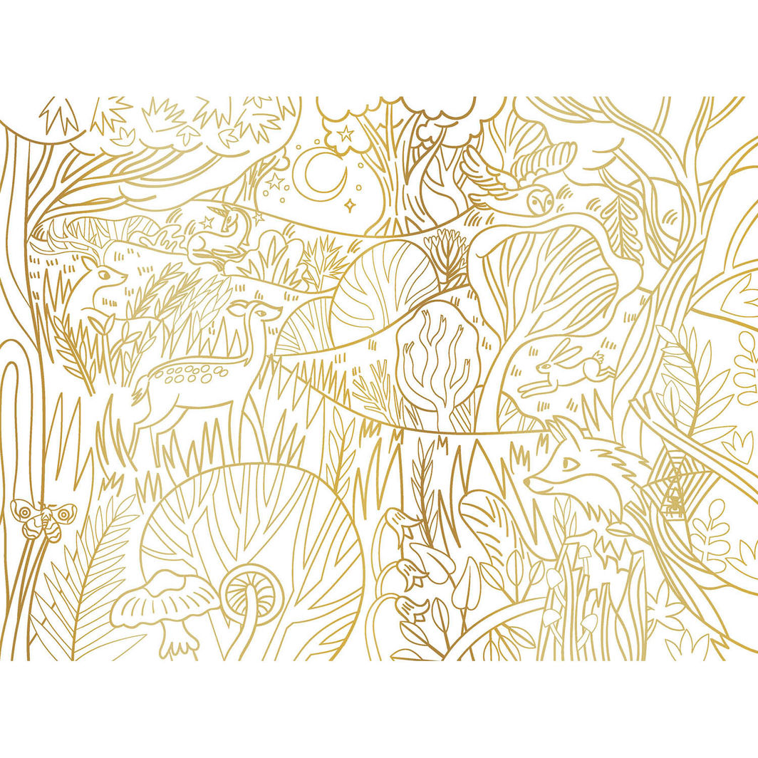 Auzou Coloring Book, Enchanting Designs