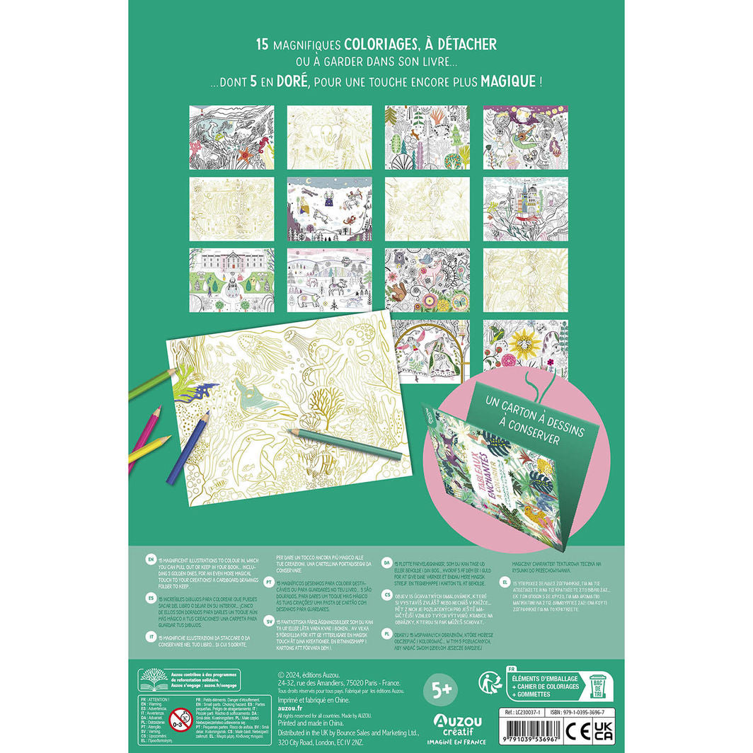Auzou Coloring Book, Enchanting Designs