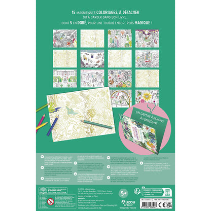 Auzou Coloring Book, Enchanting Designs