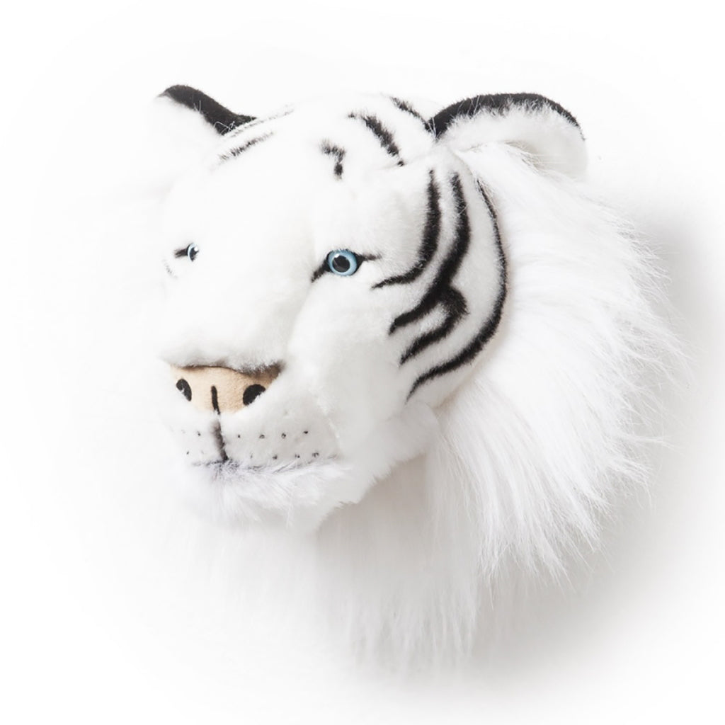 Animal Trophy for the Wall, White Tiger