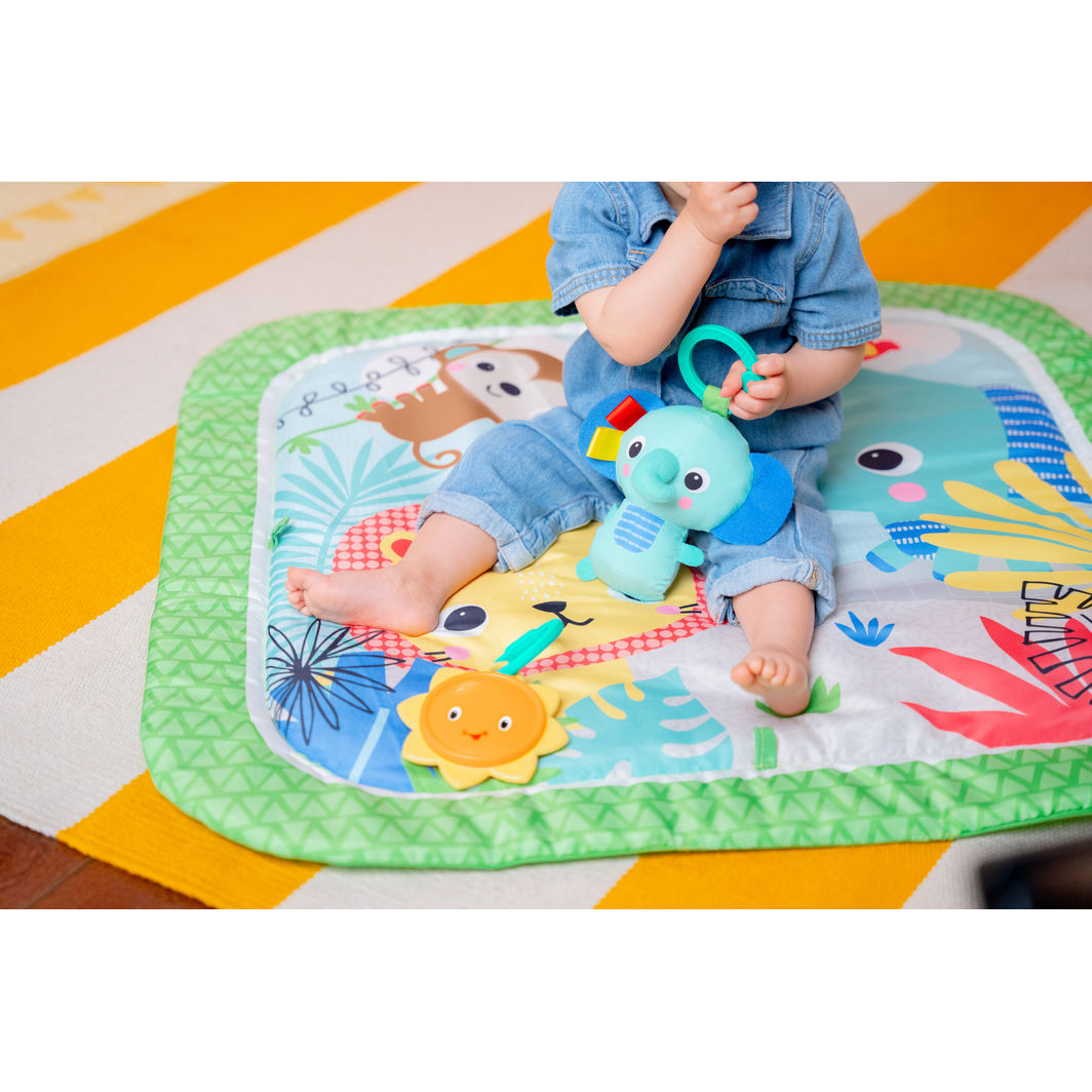 Bright Starts Activity Mat, Wild Wiggles™ FoldAway™