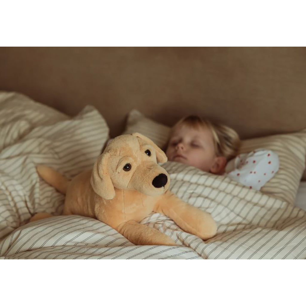 By Astrup Weighted Comfort Animal, Dog – 2.2 kg