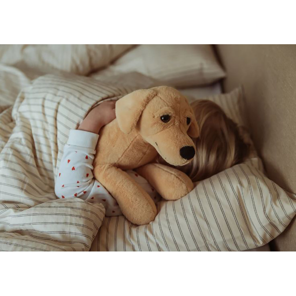 By Astrup Weighted Comfort Animal, Dog – 2.2 kg