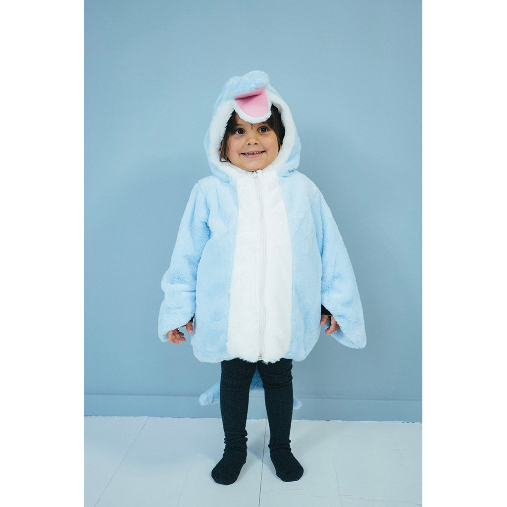 Den goda Fen Animal Costume, Dolphin, Age 2-4 Years