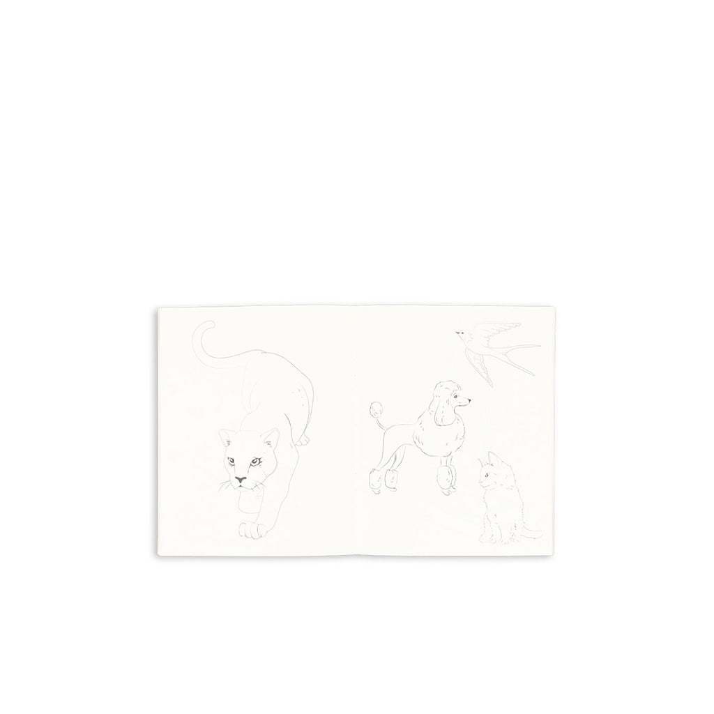 Konges Sløjd Coloring Book and Color Pencils, Green Tea Check