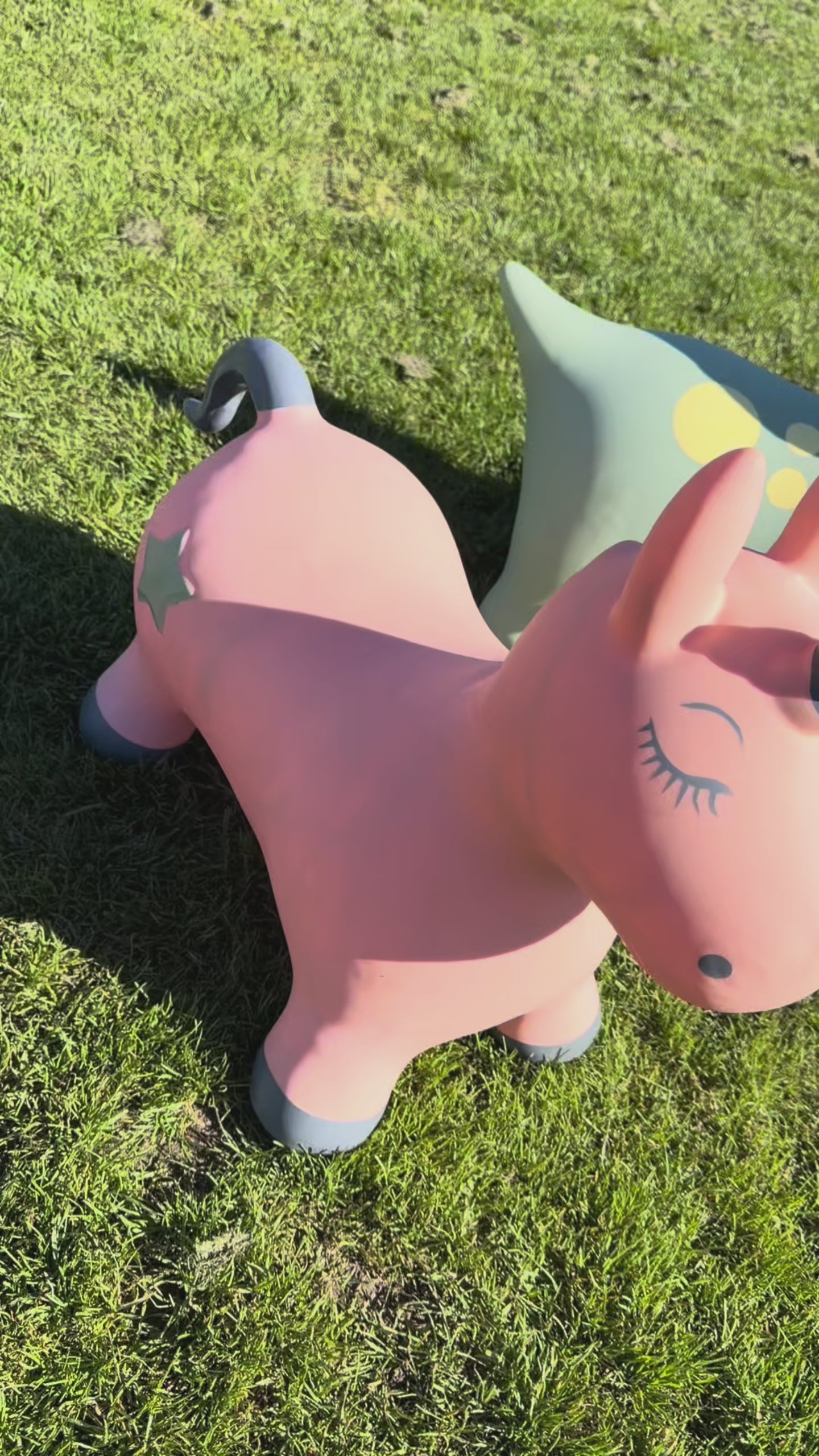 "Find That Hippo: Hoppedyr, Dinoen Dexter"