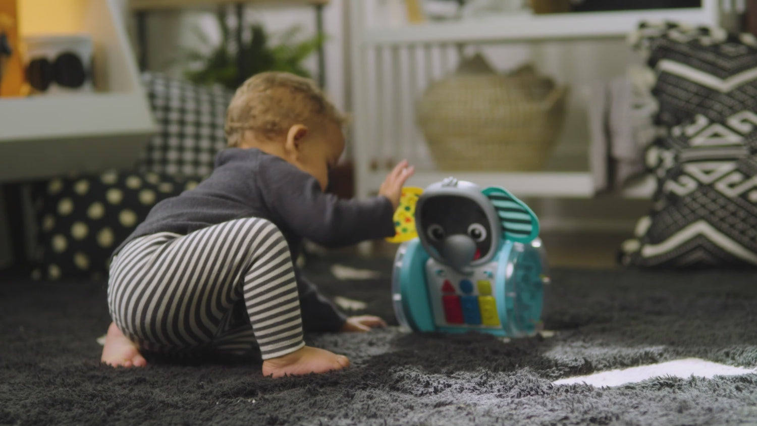 Video med BABY Einstein Chase &amp; Tap Earl™ kravle- og aktivitetslegetøj