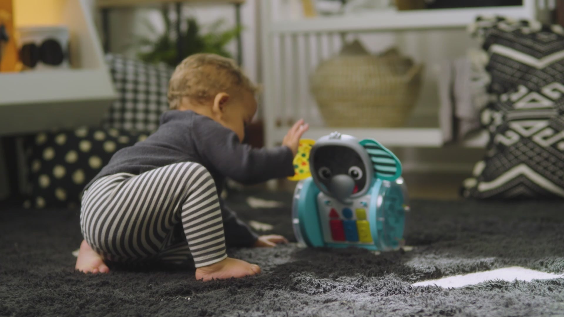 Video med BABY Einstein Chase &amp; Tap Earl™ kravle- og aktivitetslegetøj