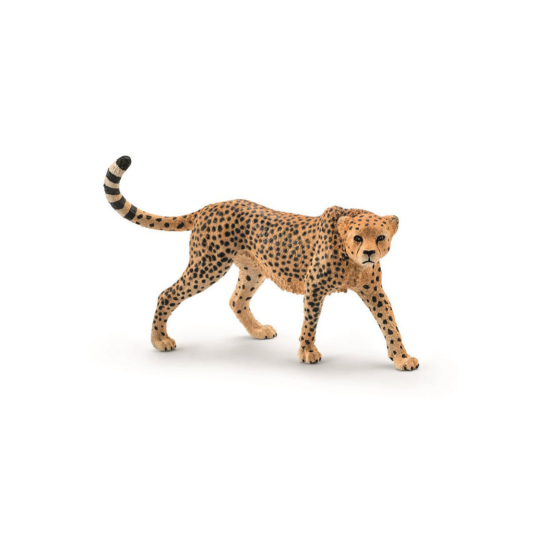 Schleich Cheetah, Female