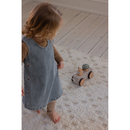 Sebra Pop-up Pull Wagon, Woodland
