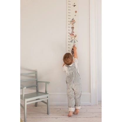 Sebra Height Chart - World of Sebra