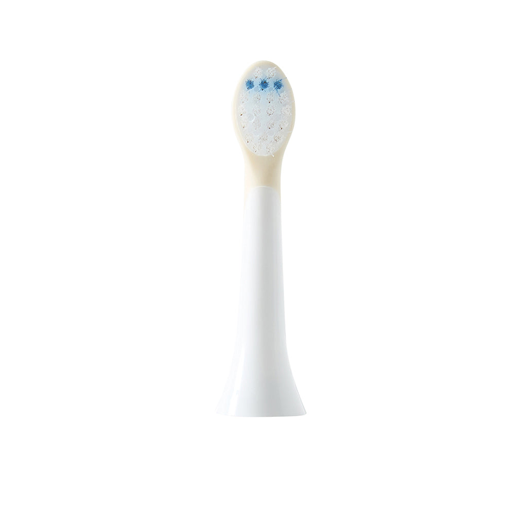 The ZooFamily Extra Brush Heads, Set of 2