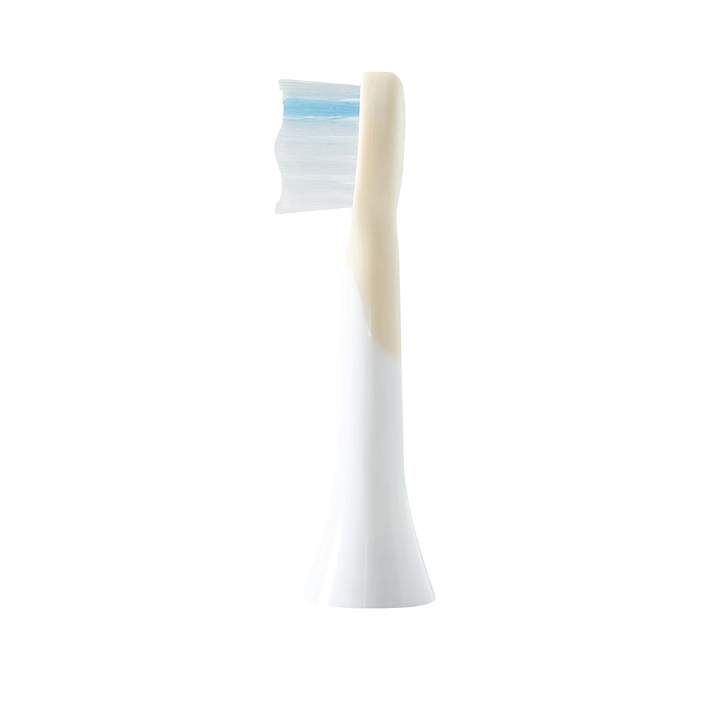 The ZooFamily Extra Brush Heads, Set of 2