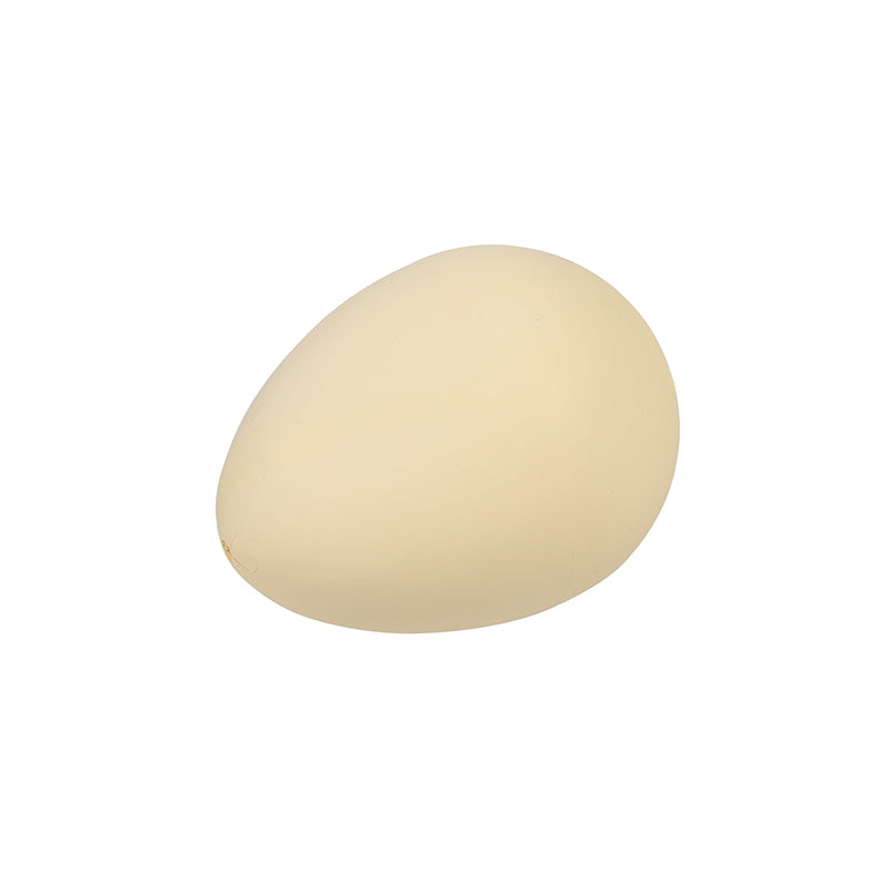 Rex London Dino Egg That Grows in Water