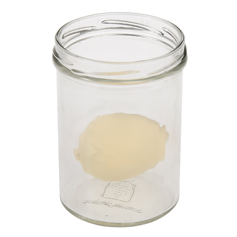 Rex London Dino Egg That Grows in Water