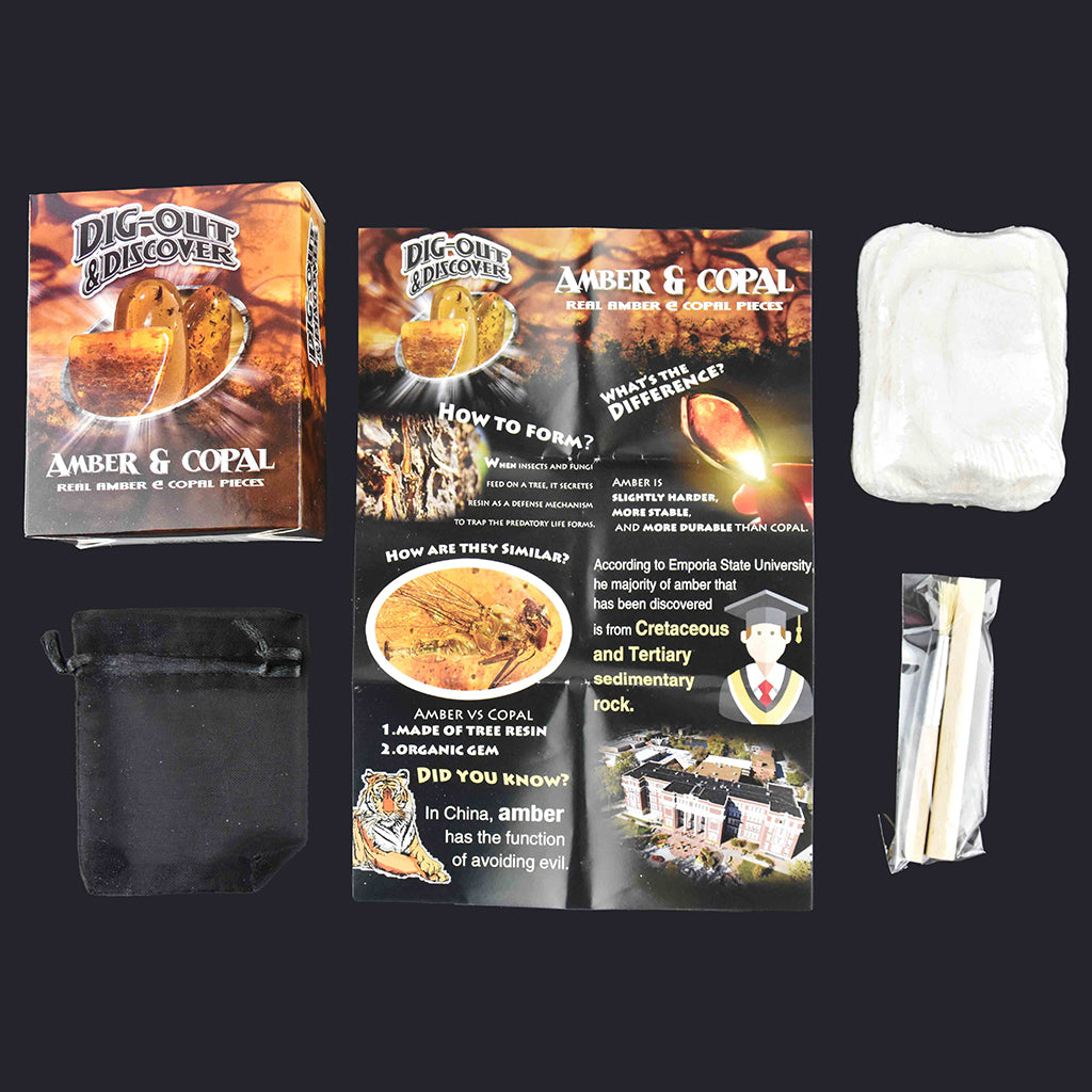 Robetoy Seek-and-Find: Assorted Treasures or Gemstones