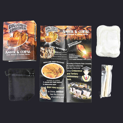 Robetoy Seek-and-Find: Assorted Treasures or Gemstones