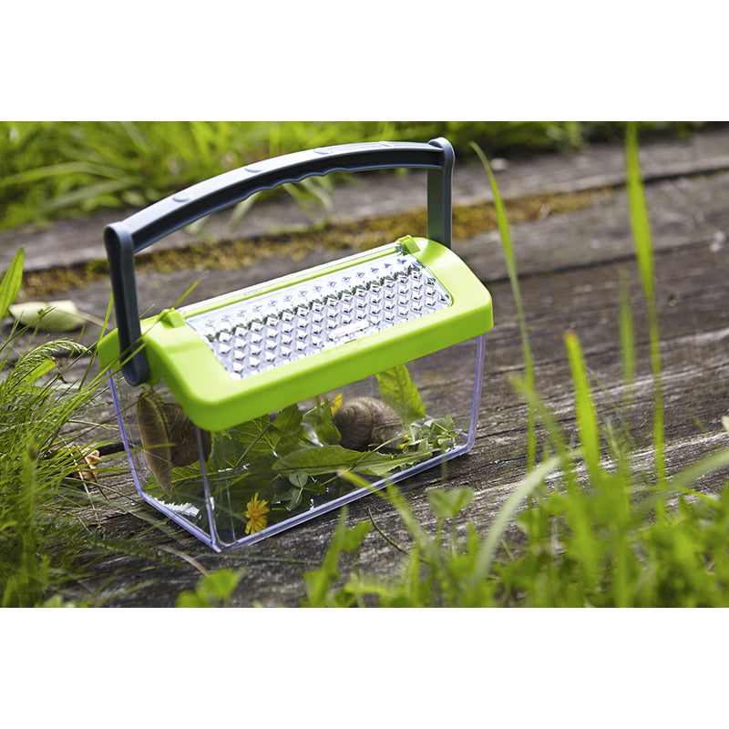 Haba Insect Viewing Box