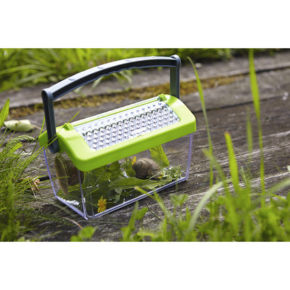 Haba Insect Viewing Box
