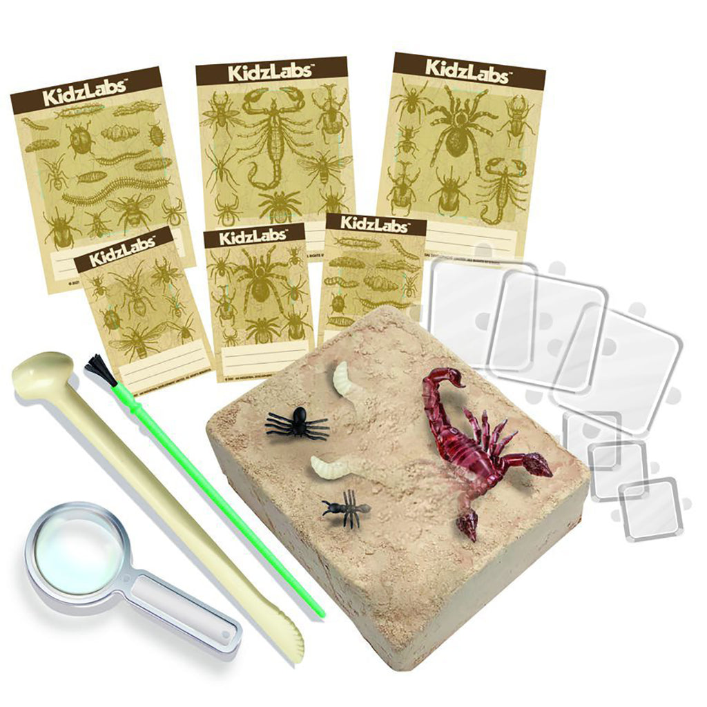 4M KidzLabs Experiment Set - Creepy Crawly Digging Kit
