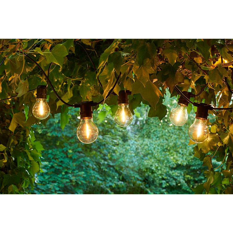 Sirius Tobias Black String Lights, Starter Set incl. Transformer - Clear