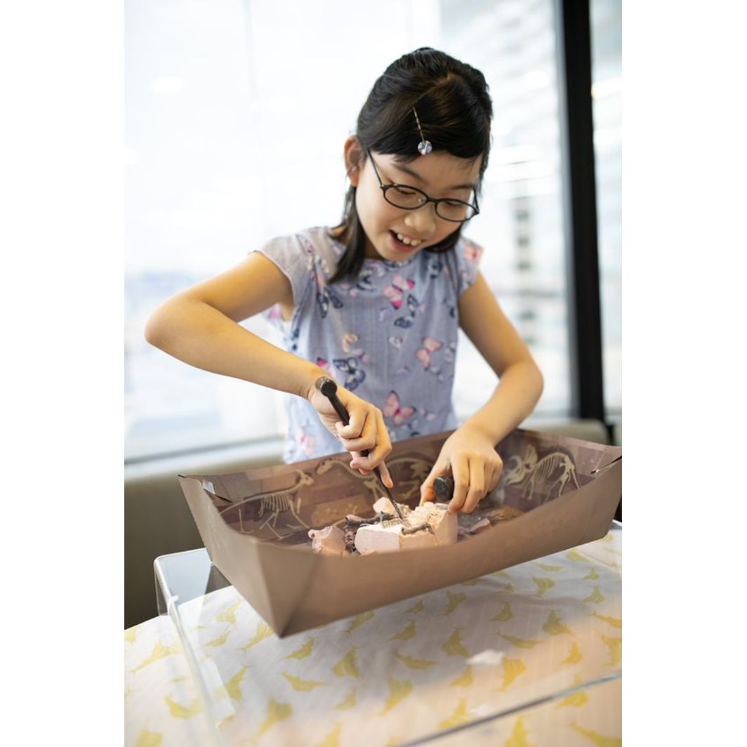 4M Steam-Powered Kids, The World of Dinosaurs