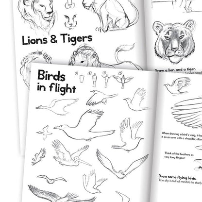 Artbook, lær at tegne dyr - for børn fra 7 år