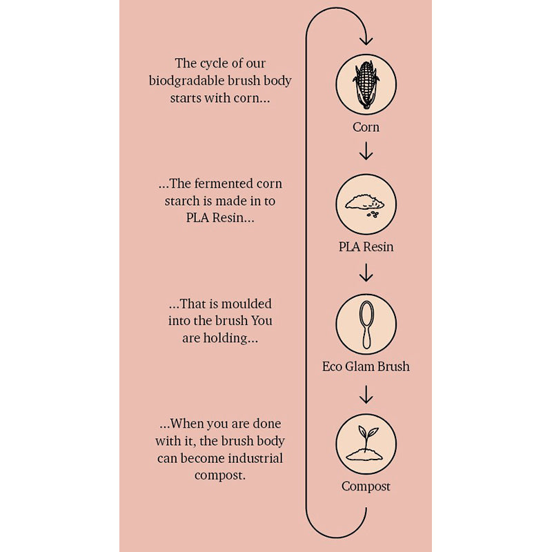 Fan Palm Hairbrush, Eco Glam - Medium