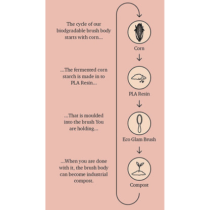 Fan Palm Hairbrush, Eco Glam - Medium