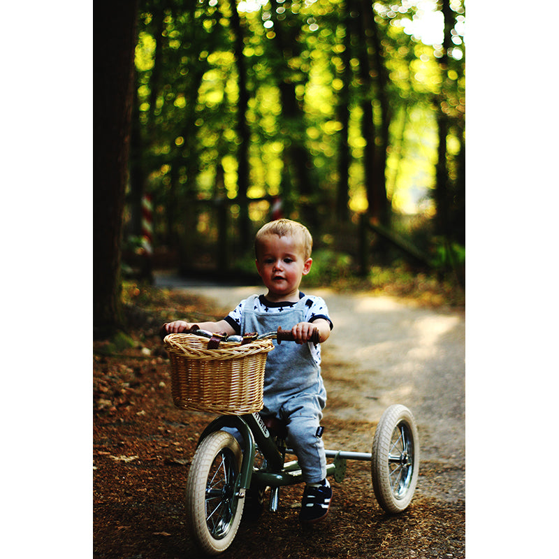 Trybike Woven Basket for Bicycle