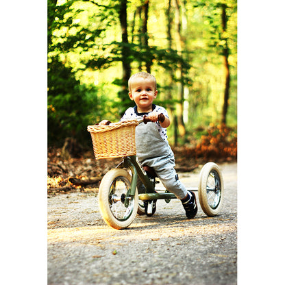 Trybike Woven Basket for Bicycle