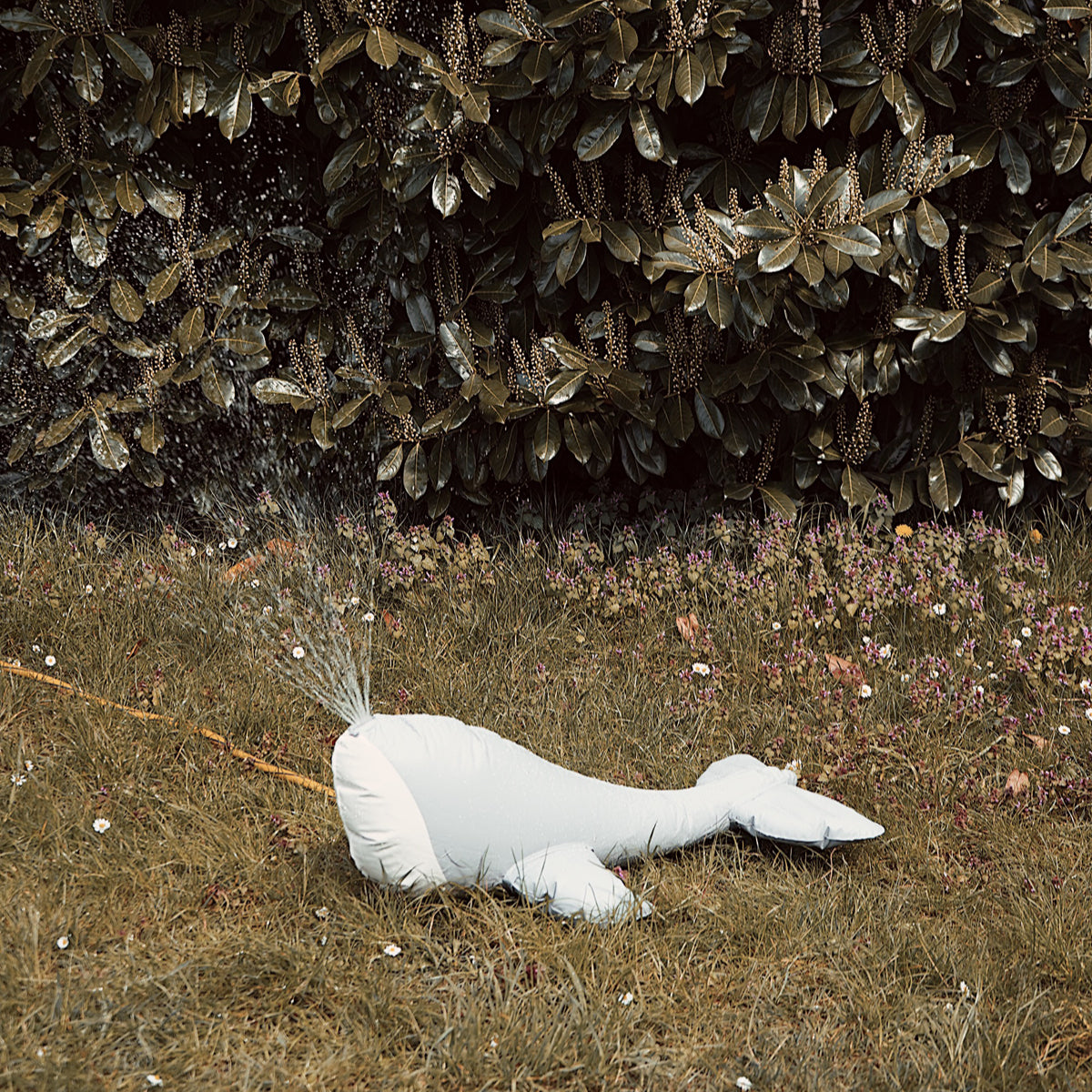 Konges Sløjd Inflatable Sprinkler, Whale