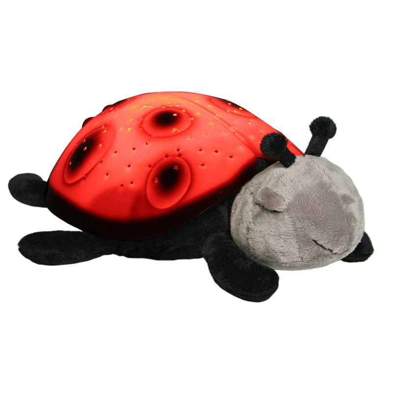 Natlampe som danner stjernehimmel, mariehøne - rød