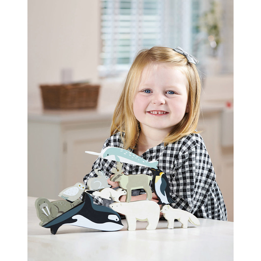 Tender Leaf, Wooden Animals in Box - 10 Arctic Animals