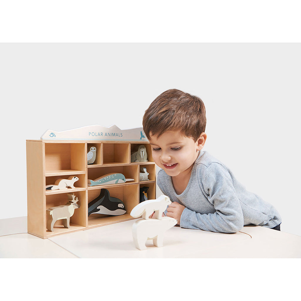 Tender Leaf, Wooden Animals in Box - 10 Arctic Animals