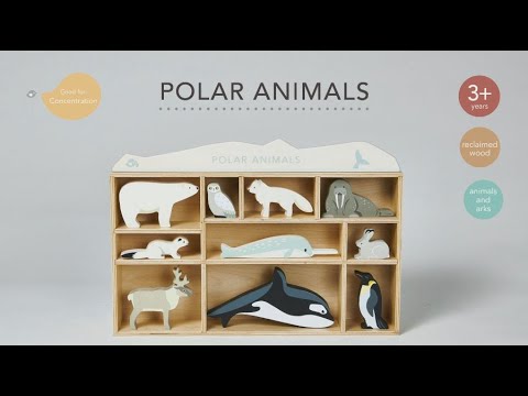 Tender Leaf, Wooden Animals in Box - 10 Arctic Animals