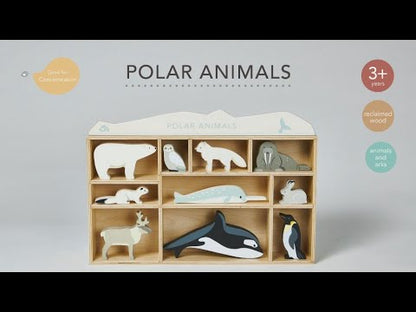 Tender Leaf, Wooden Animals in Box - 10 Arctic Animals