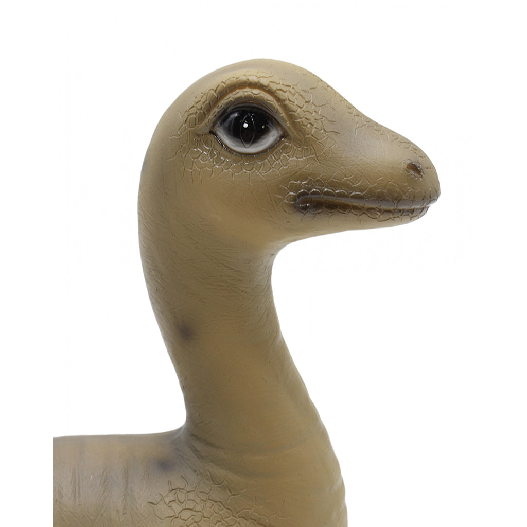 Bonton Dinosaur Children&